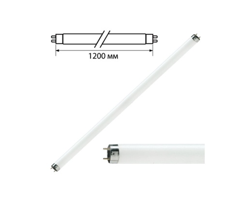 Лампа люминесцентная PHILIPS TL-D 36W/33-640, 36Вт, цокольG13, в виде трубки 120см, холод. бел.свет "Дава"