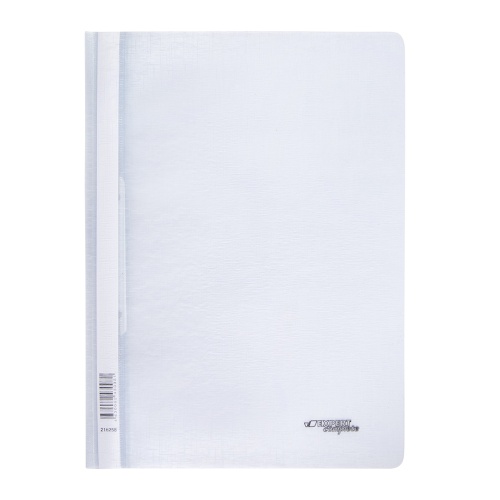 Папка-скоросшиватель с прозрачным листом Expert Complete Trend ICEbe 140/180 мкм лён 216258 лёд "Дава"