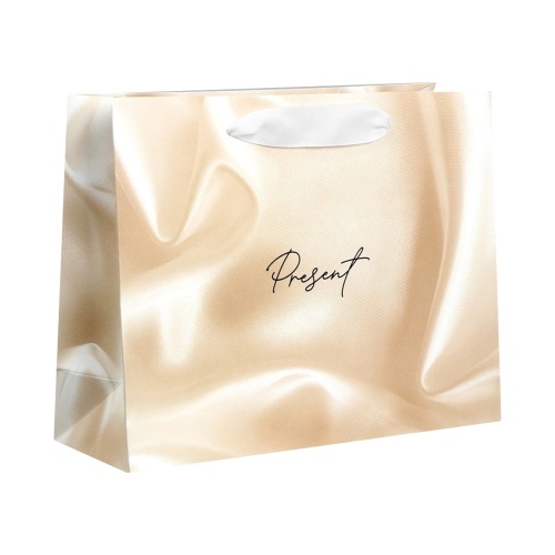 Пакет подарочный картон 22*17,5*8см Present 9924029 "Дава"
