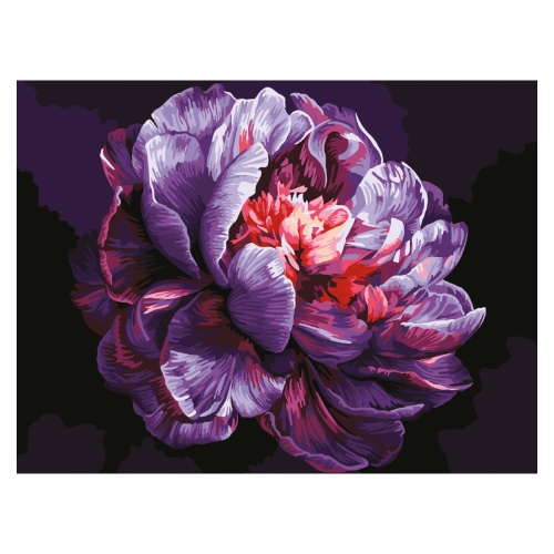 Набор для творчества Картина по номерам 30*40см ТРИ СОВЫ Сиреневый пион КК3040_57382 "Дава"