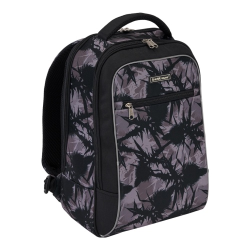 Рюкзак ErichKrause ErgoLine Urban 18L Thistle 48674 "Дава"