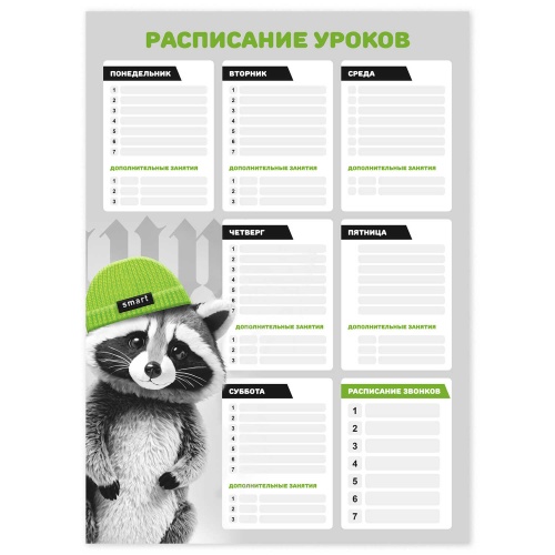 Расписание уроков А3 Енот в шапочке 68847 "Дава"