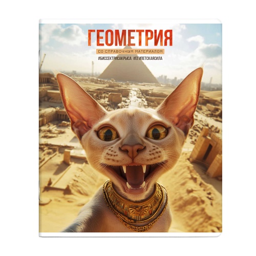Тетрадь 48л предметная Феникс+  СЕЛФИ 69836 Геометрия "Дава"