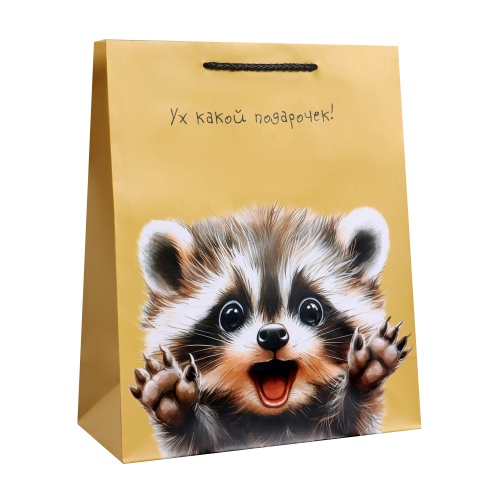 Пакет подарочный картон 26*32*12см Ух! Какой подарочек! 10978157 "Дава"