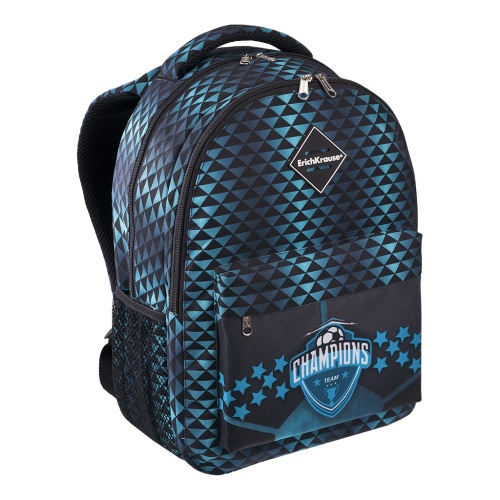 Рюкзак ErichKrause EasyLine 20л Чемпион 54472 "Дава"