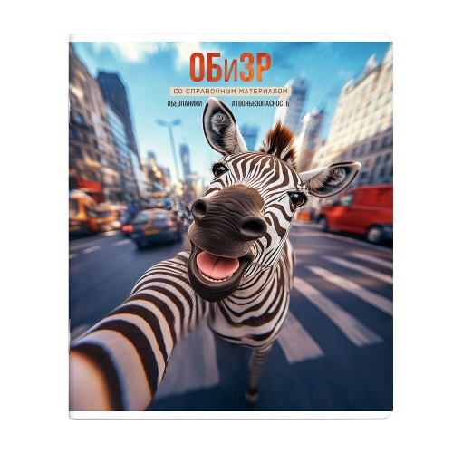 Тетрадь 48л предметная Феникс+  СЕЛФИ 69849 ОБиЗР "Дава"