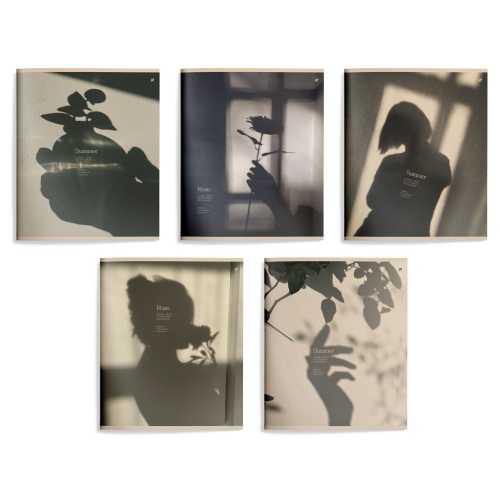 Тетрадь 48л/кл LOREX SHADOW OF HAPPINESS LXCBCL-SOH "Дава"