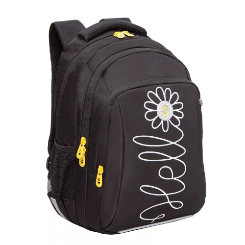 Рюкзак Grizzly RG-361-3 черный "Дава"