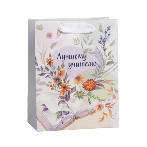 Пакет подарочный картон 18*23*10см Лучшему учителю 7489529 "Дава"