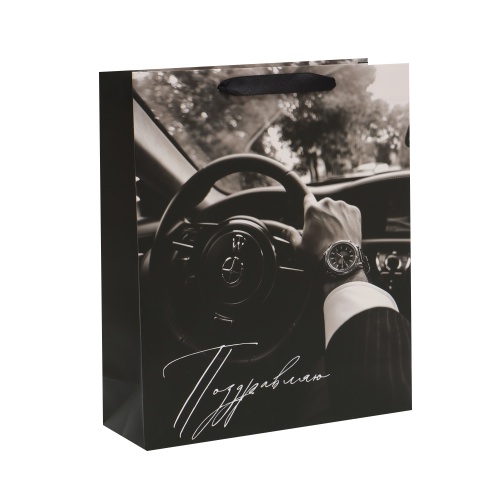 Пакет подарочный картон 25,5*30*9см Поздравляю 10894027 "Дава"