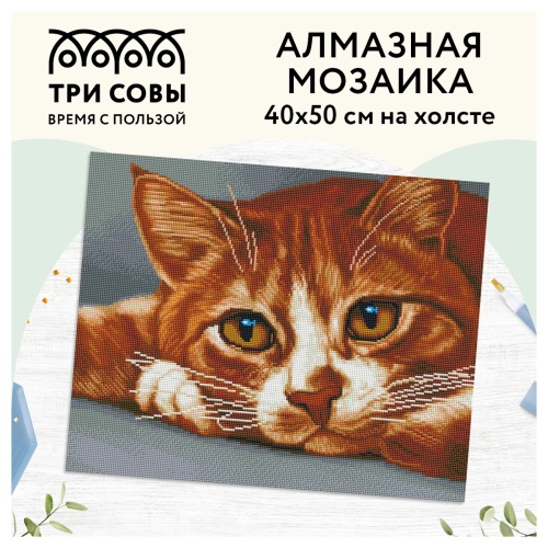 Набор для творчества ТРИ СОВЫ Алмазная мозаика Рыжик, холст 40*50см АМ4050_47568 "Дава"