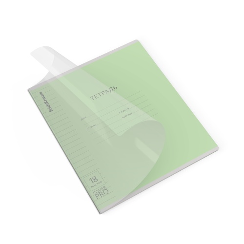 Тетрадь 18л/лин. ErichKrause® Классика CoverPrо® зеленая, пластиковая обложка 62182 "Дава"