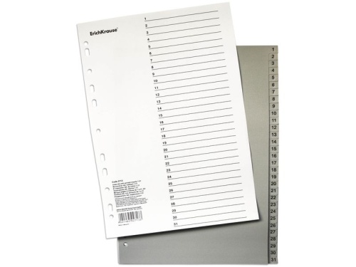 Разделитель пластиковый 1-31 ErichKrause 55901 "Дава"