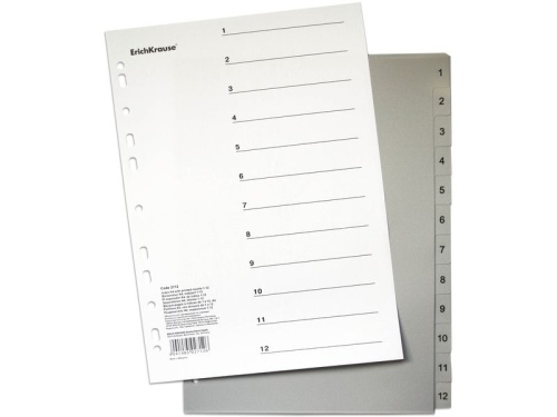 Разделитель пластиковый 1-12 ErichKrause 2712 55899 "Дава"