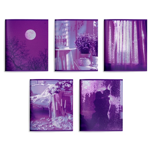 Тетрадь 48л/кл LOREX LILAC LXCBCL-LC "Дава"